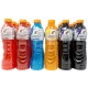 GATORADE 750 ML